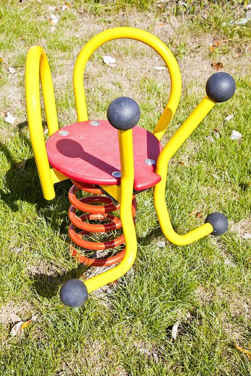 Imagen 6 Escarabajito
