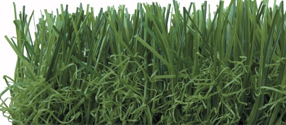 Imagen 2 Euphoria Green