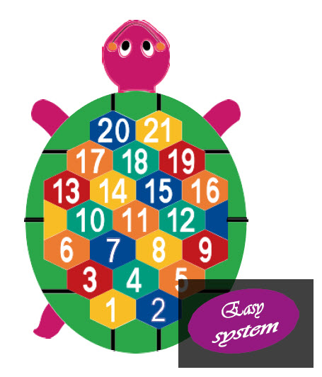 Imagen 2 Tortuga
