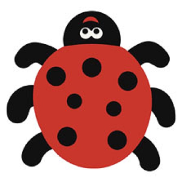 Imagen 2 Imagen mariquita 2D