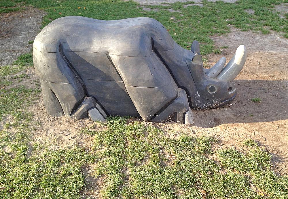 Imagen 2 Rhino