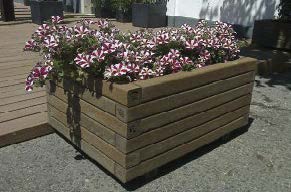 Imagen 2 Jardinera Caléndula