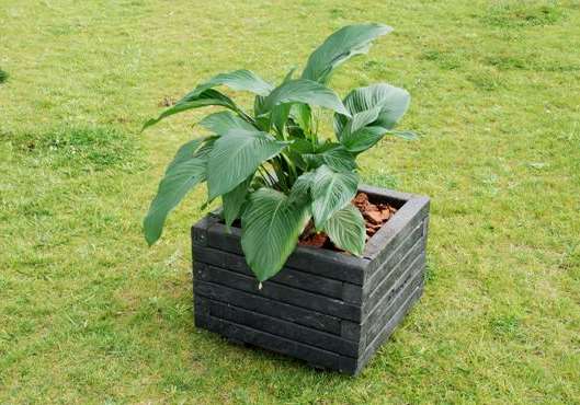Imagen 2 Jardinera Rosa