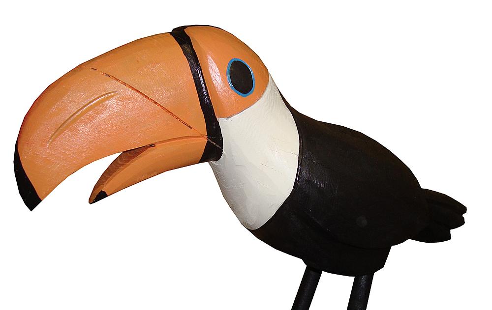 Imagen 2 Tucan Lotte