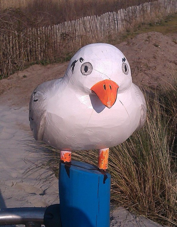 Imagen 3 Gaviota Sanni