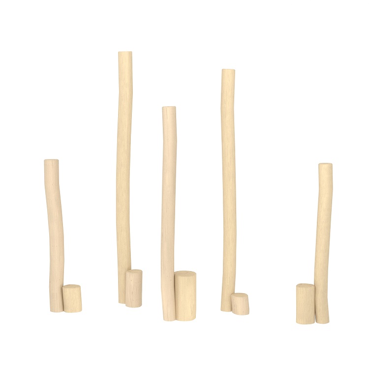 Imagen 2 ROBINIA 1261