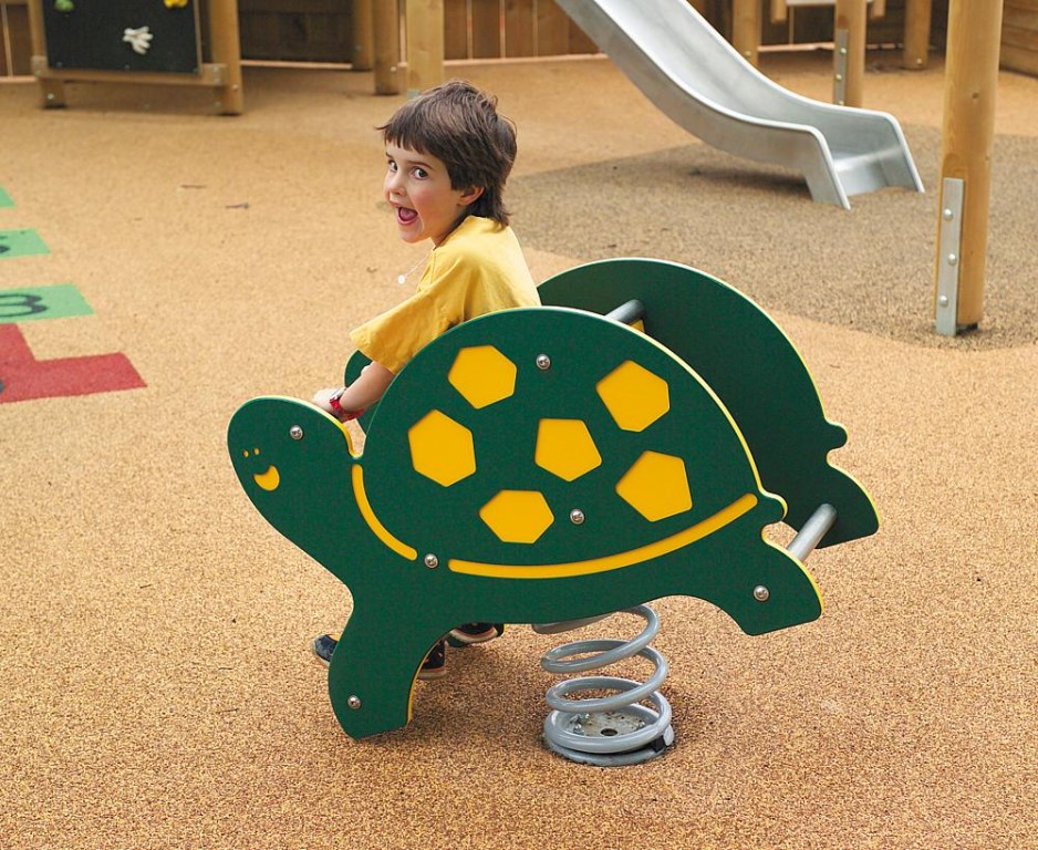 Imagen 4 Tortuga