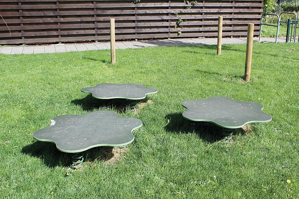 Imagen 7 Flor para saltar