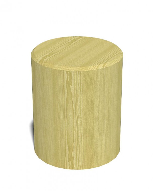 Imagen 2 Tronco de asiento