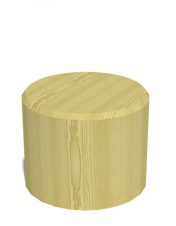 Imagen 2 Tronco angular