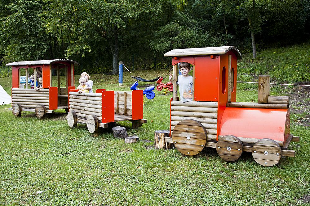 Imagen 7 Locomotora grande