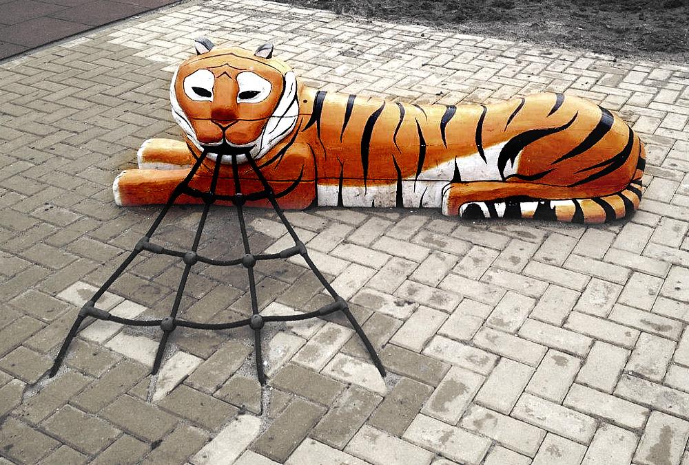 paradiso_tigre_con_red_Samia_01